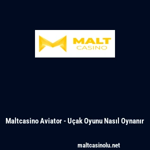Maltcasino Aviator - U&ccedil;ak Oyunu Nasıl Oynanır